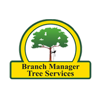 Arborist on the Sunshine Coast