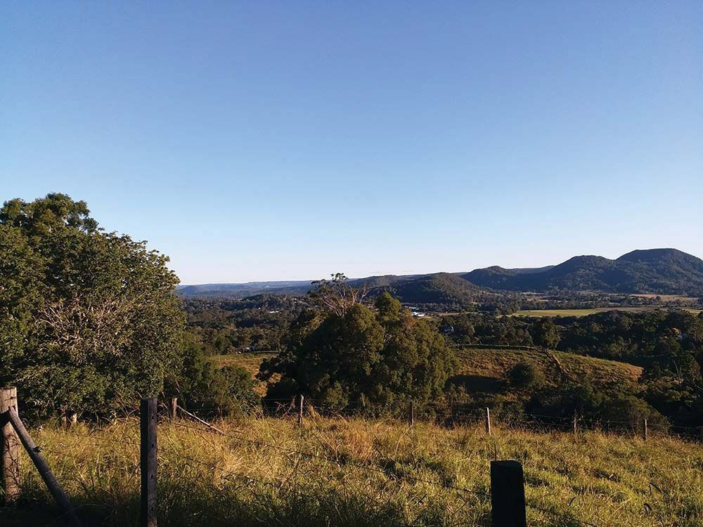A Fenced In Field With Trees And Mountains In The Background — Branch Manager Tree Services Coolum Beach In Eumundi, QLD