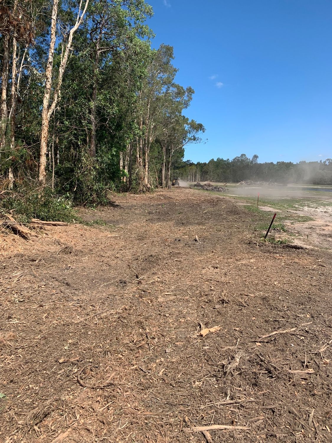 A Row Of White Trucks Are Parked In A Parking Lot — Branch Manager Tree Services Coolum Beach In Palmwoods, QLD