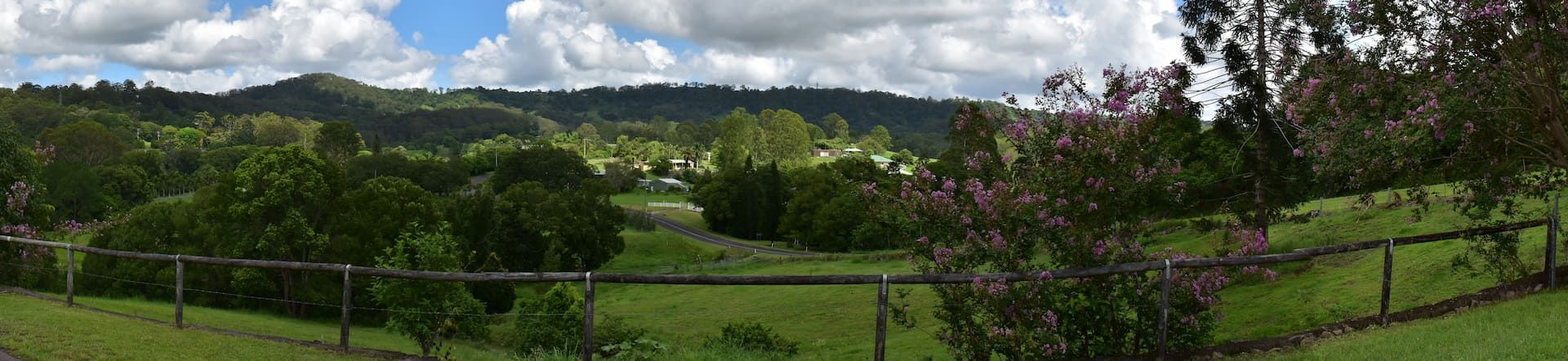 A Lush Green Forest Surrounded By Rocks And Trees — Branch Manager Tree Services Coolum Beach In Nambour, QLD