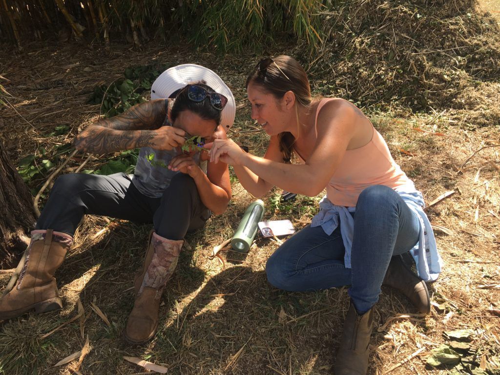 Two people crouch outdoors by a dry grassy bank, examining a small object together.