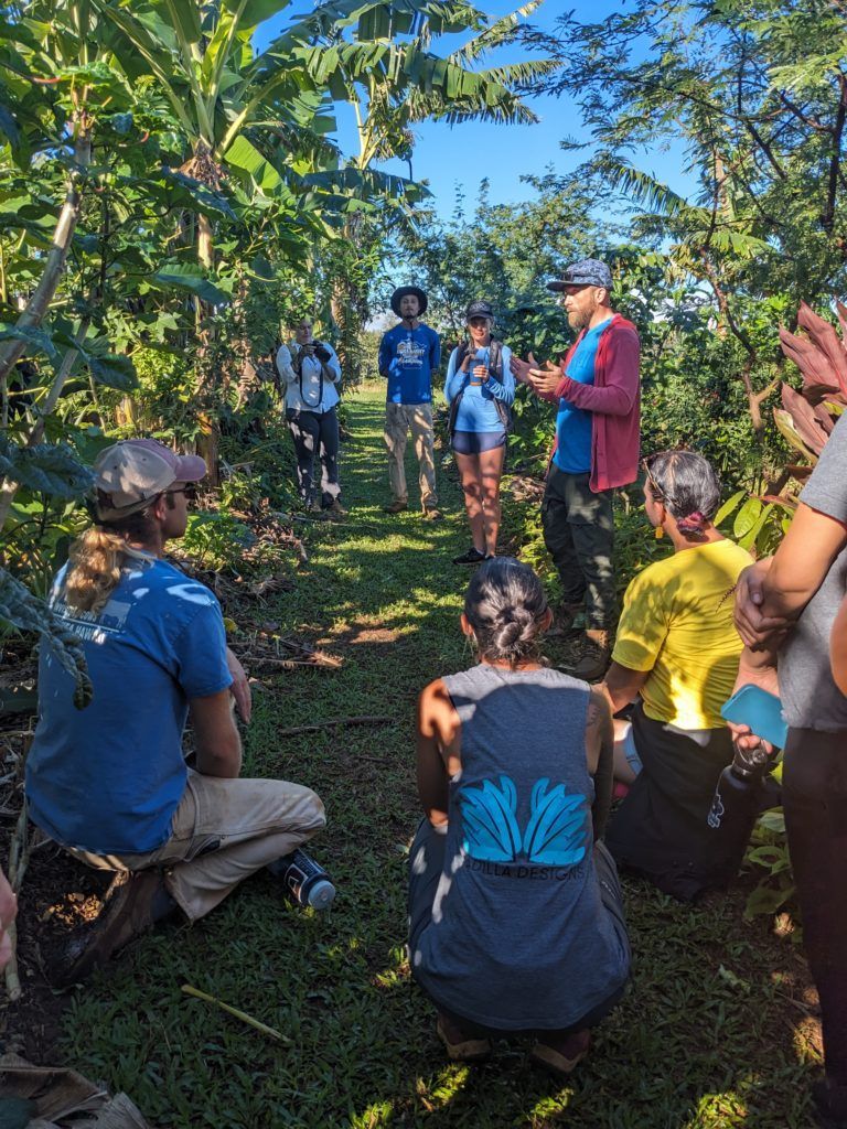 Group gathered on a lush trail, listening to a guide speaking outdoors under bright sunlight.