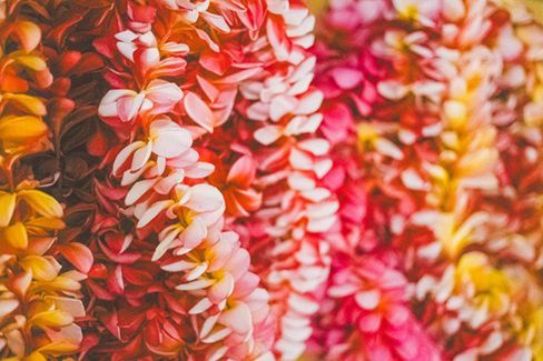 Close-up of pink, white, and orange flowers in a vibrant floral pattern