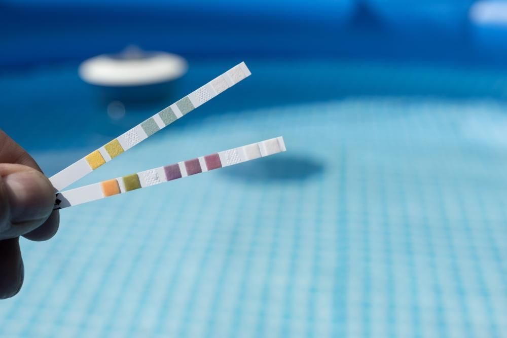 A Person is Holding a Pair of Test Strips in Front of a Swimming Pool — Whitsunday Pool Service in Proserpine, QLD