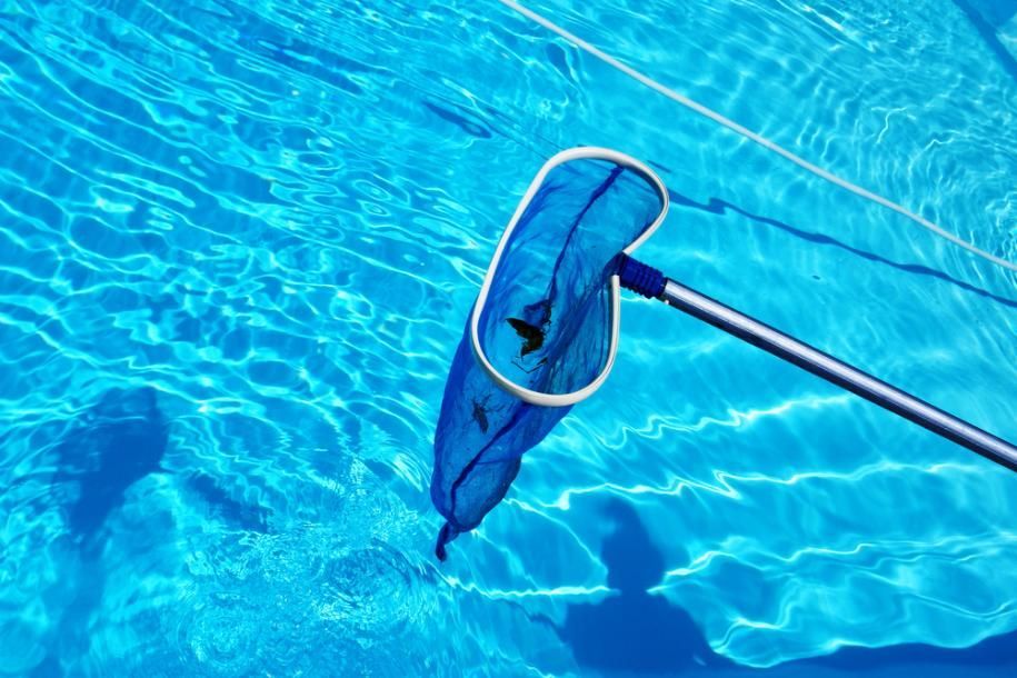 A Blue Net is Being Used to Clean a Swimming Pool — Whitsunday Pool Service in Airlie Beach, QLD