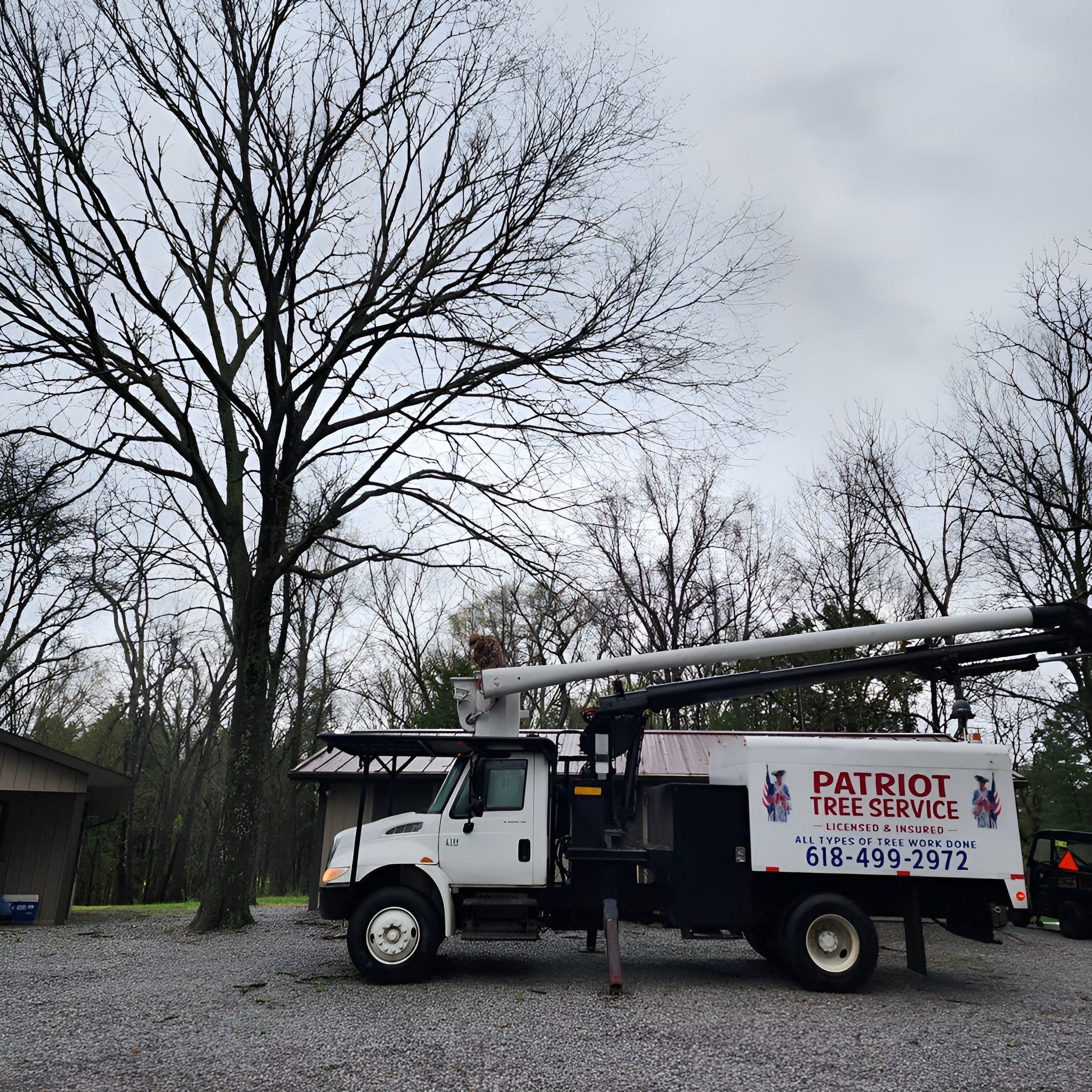A white Patriot Tree Service truck parked under a large bare tree on a cloudy day.