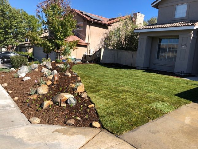 A landscaped front yard with mulch, rocks, and green grass. Houses and a sunny day in the background.