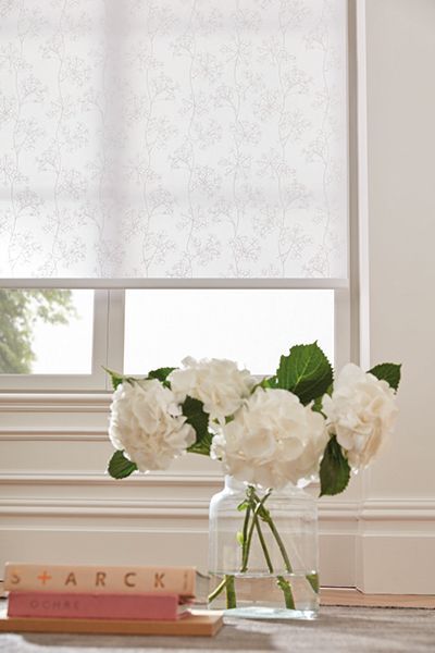 White Hydrangeas In A Clear Vase On In Front Of A Roller Shade — Winning Blinds in Cardiff, NSW