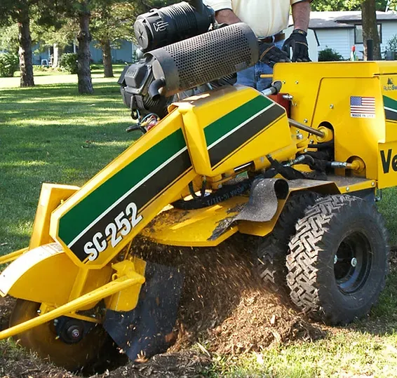 Yellow Stump Humper — Elkin, NC — L & T Tree Service