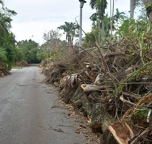 Bunch of Broken Trees and Leaves — Elkin, NC — L & T Tree Service