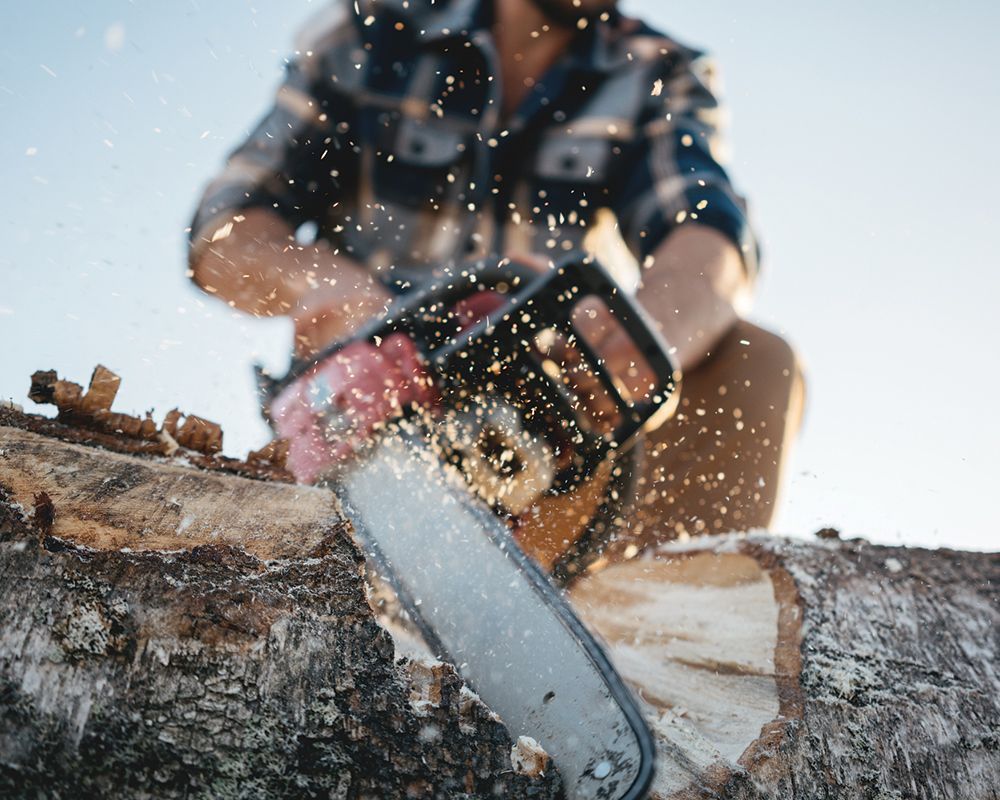 Lumberjack Using Chainsaw on a Sawmill — Elkin, NC — L & T Tree Service