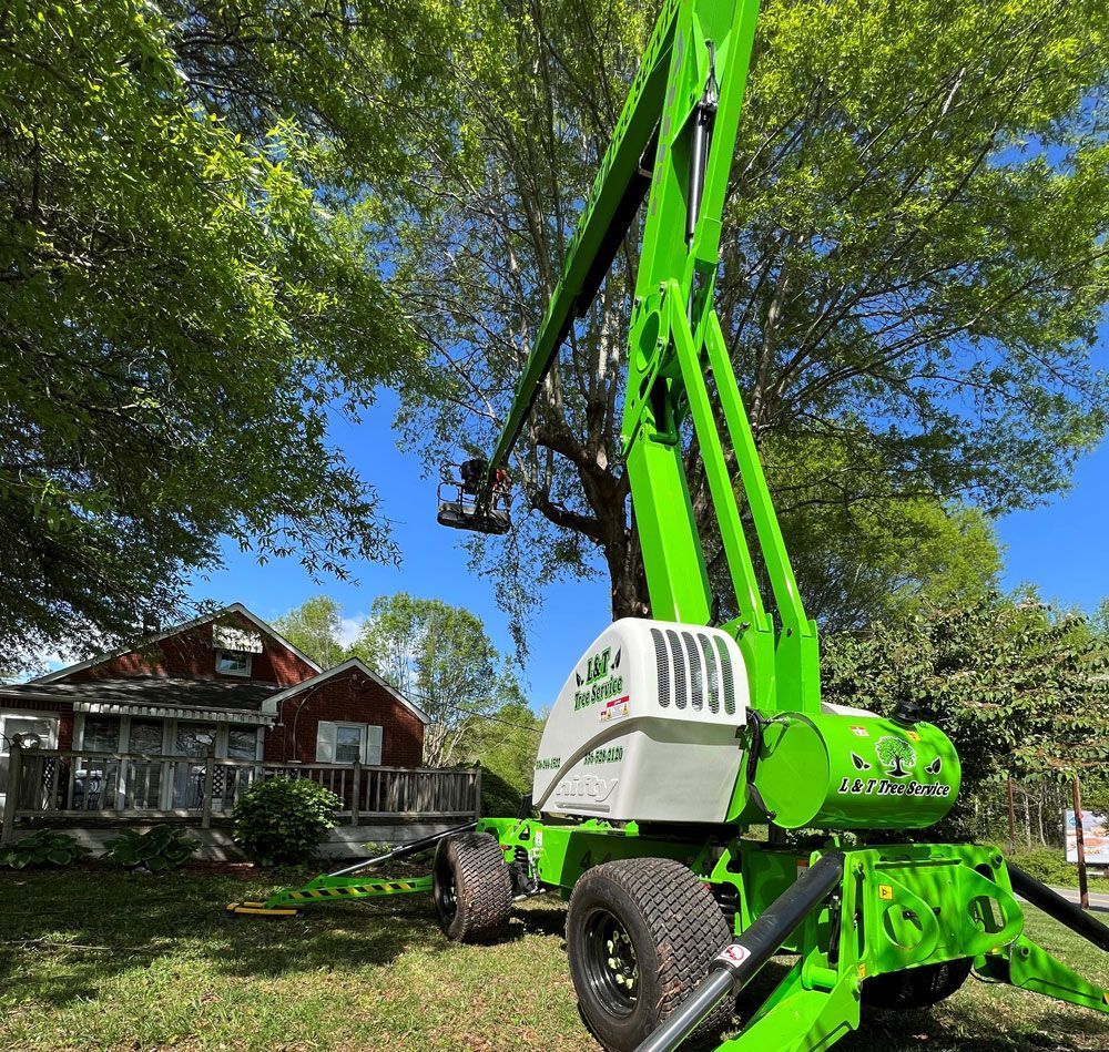 Worker Trimming Tree with Pruning Shears — Elkin, NC — L & T Tree Service