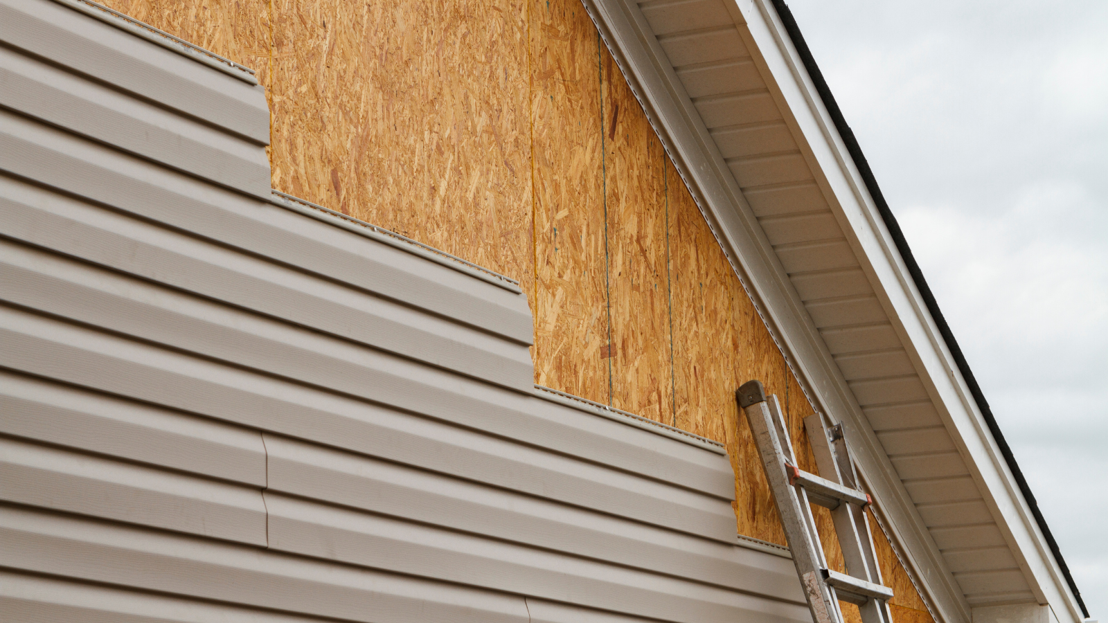 A ladder is attached to the side of a house.