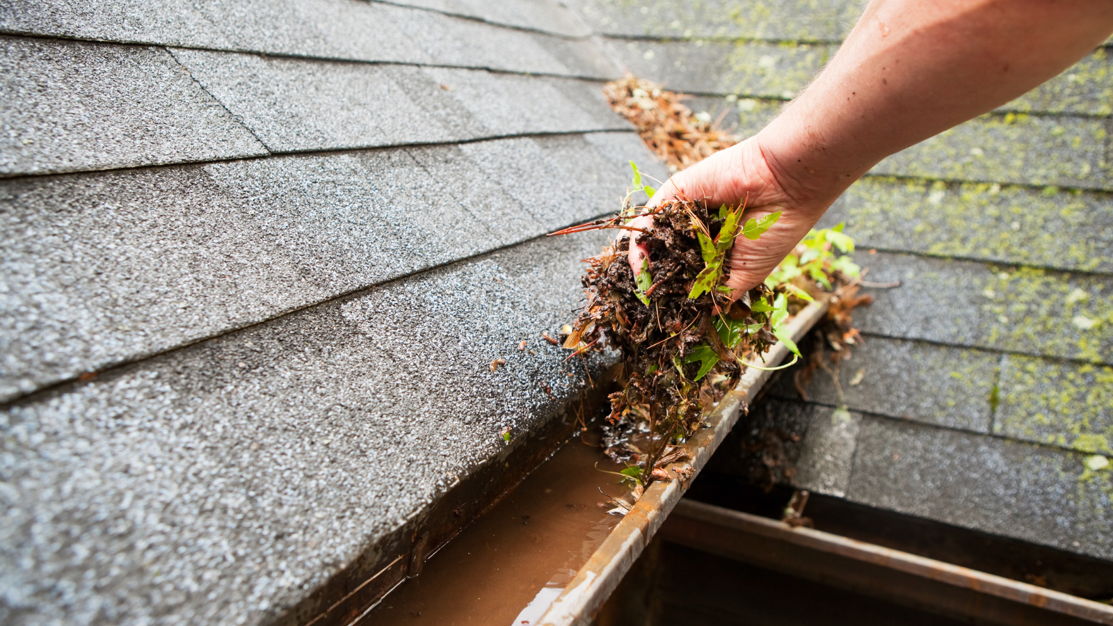 A person is cleaning a gutter on a roof.