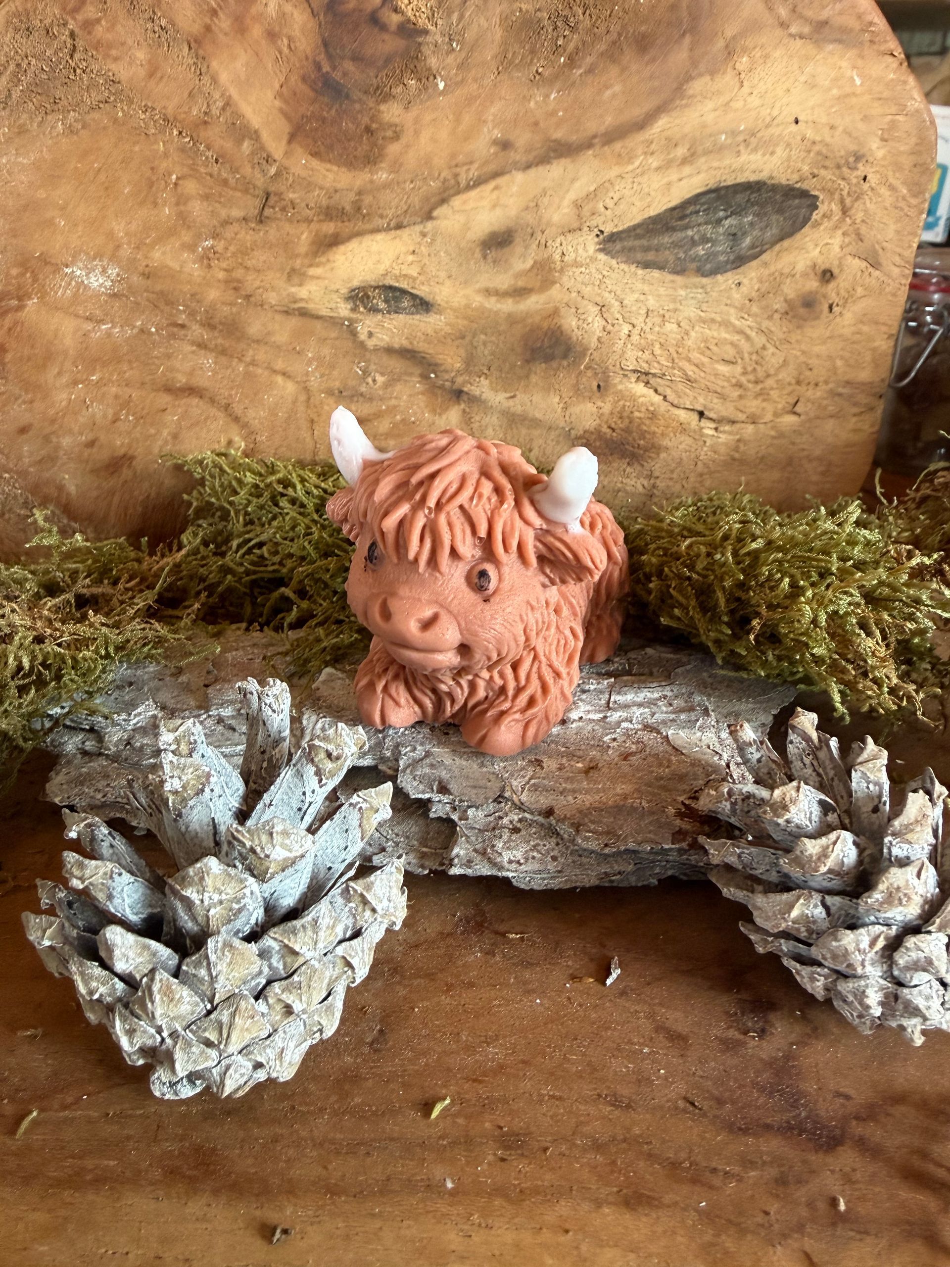 Beeldje van een Schotse hooglandkoe op hout met dennenappels en mos.