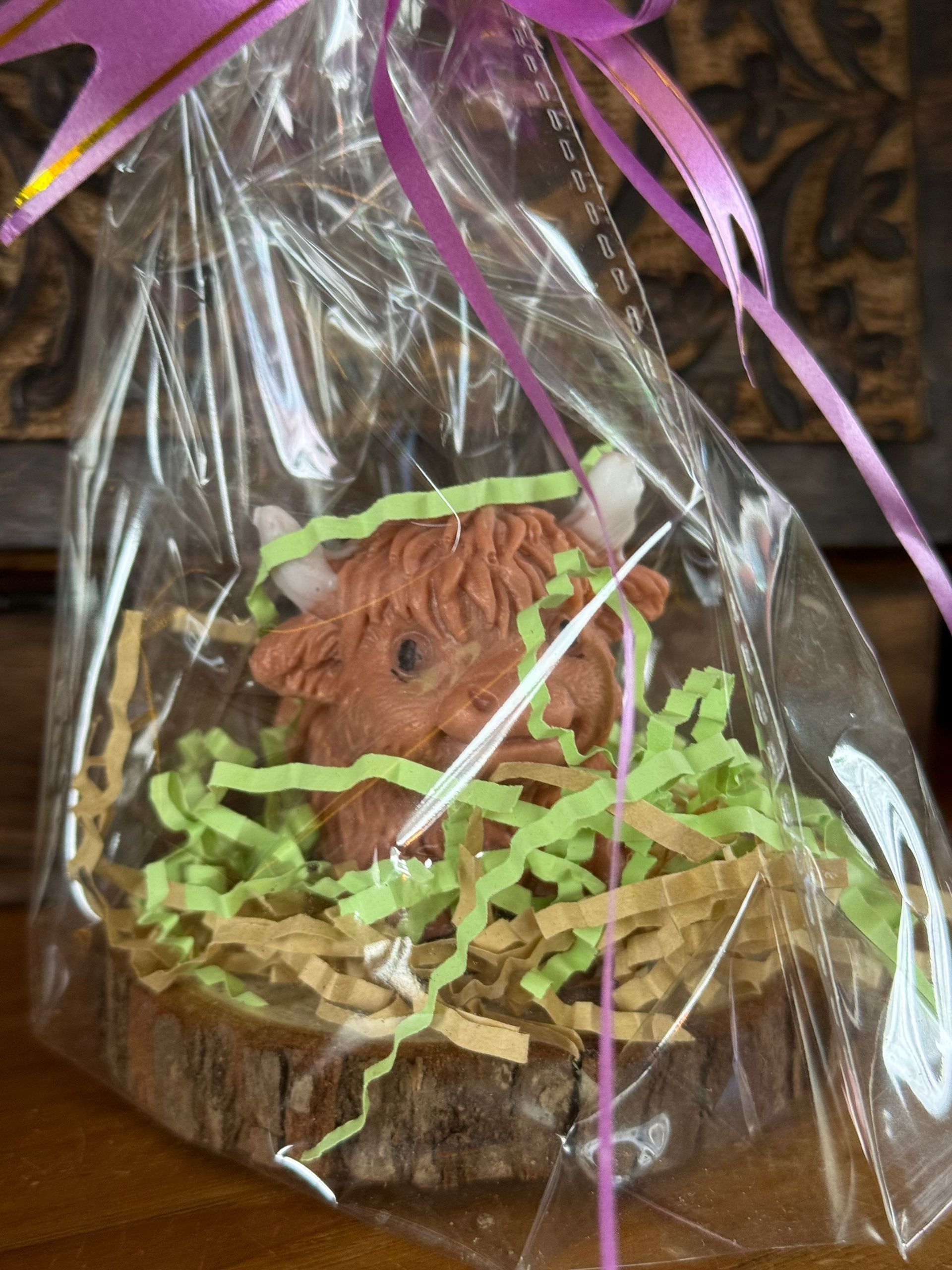 Beeldje van een Schotse hooglandkoe op hout met dennenappels en mos.