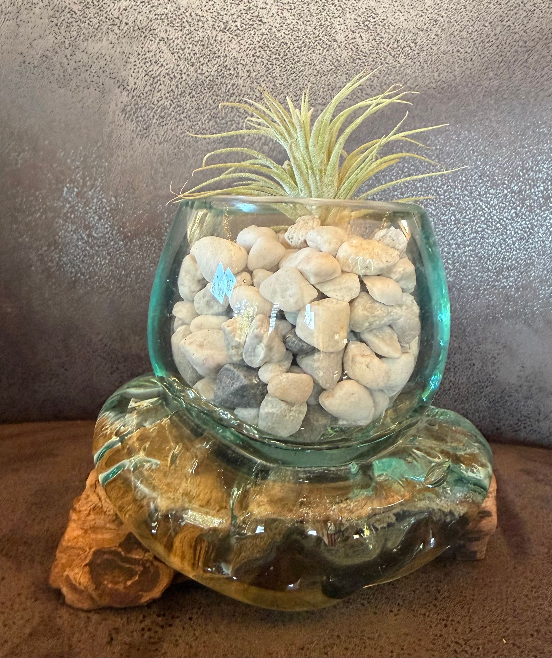 Glazen plantenbak met luchtplant en steentjes op een glazen en houten voet.