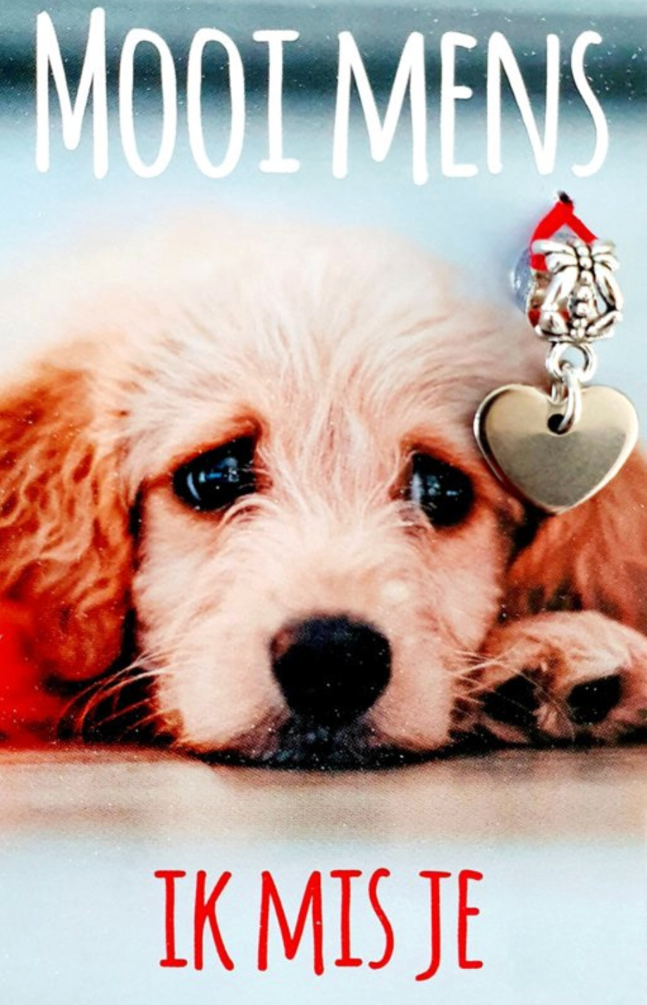 Een puppy met droevige ogen, liggend, met een bedeltje aan zijn oor. De tekst luidt: 