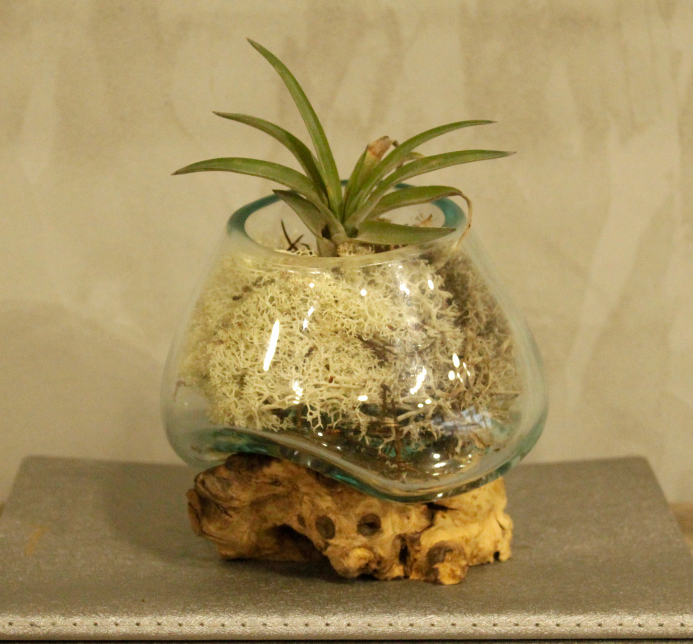 Glazen terrarium  gebeeldhouwd interieur, geplaatst op een verweerde houten sokkel buiten te midden van groen.