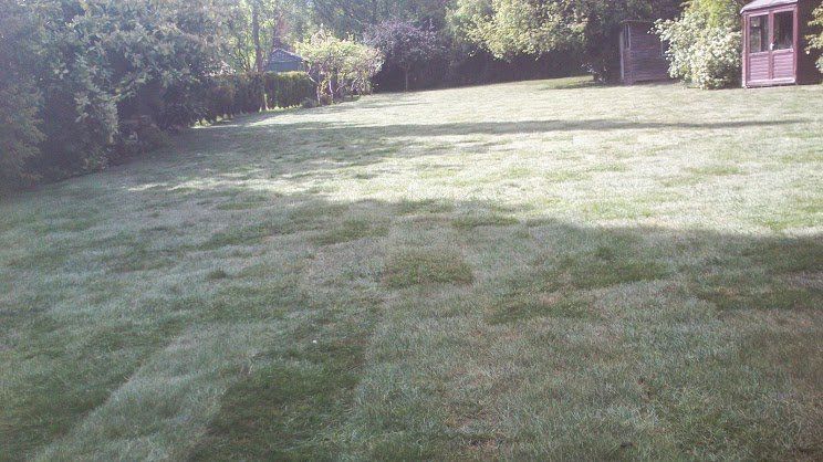 For turf layers in Evesham call Vale Turf Supplies
