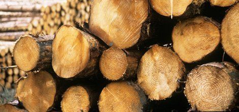 For firewood delivery in Evesham call Vale Turf Supplies For firewood delivery in Evesham call Vale Turf Supplies