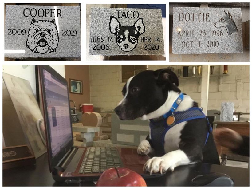 Dog Watching on Laptop and Pet Markers — Augusta, GA — Everlasting Granite and Marble