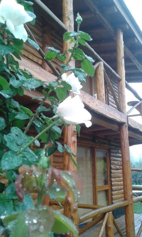 Exterior de cabaña con patio privado