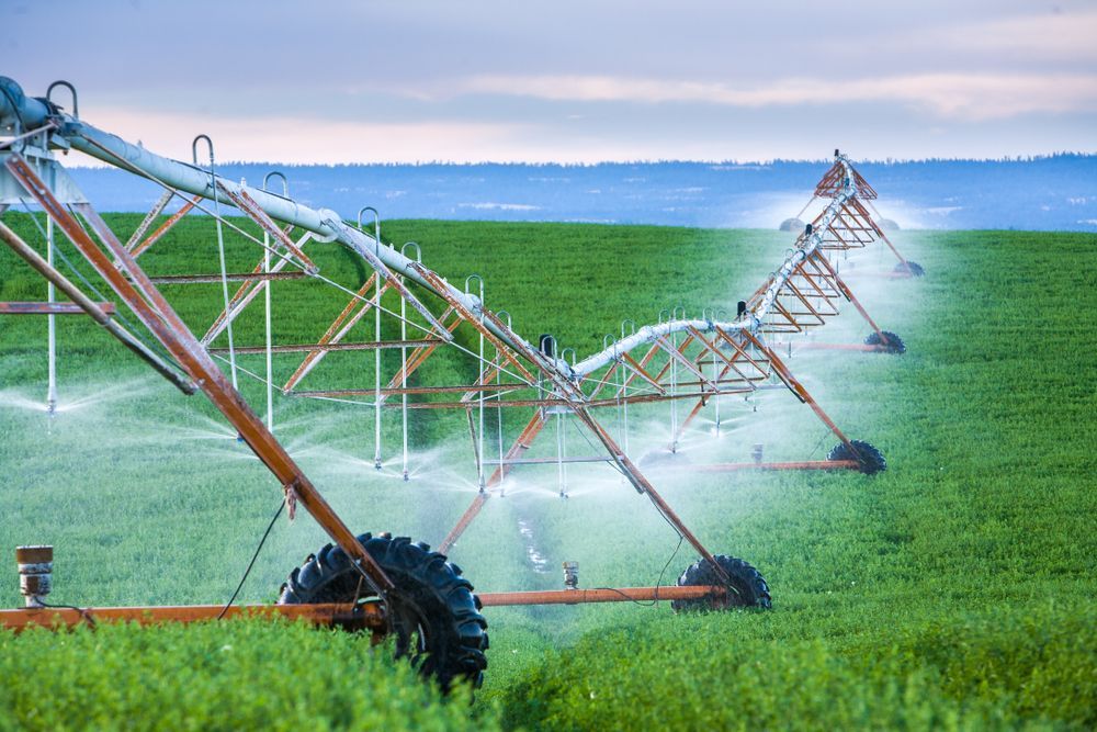 A Row of Irrigation Systems Are Spraying Water on a Lush Green Field — Stockers & Partridge In Maitland, NSW