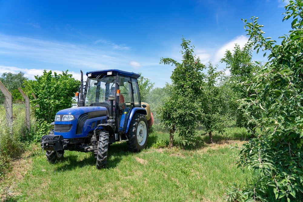 A Blue Tractor is Parked in a Grassy Field Surrounded by Trees — Stockers & Partridge In Raymond Terrace, NSW