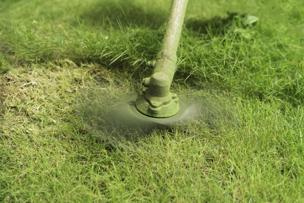 A Person is Using a Lawn Mower to Cut the Grass — Stockers & Partridge In Paterson, NSW