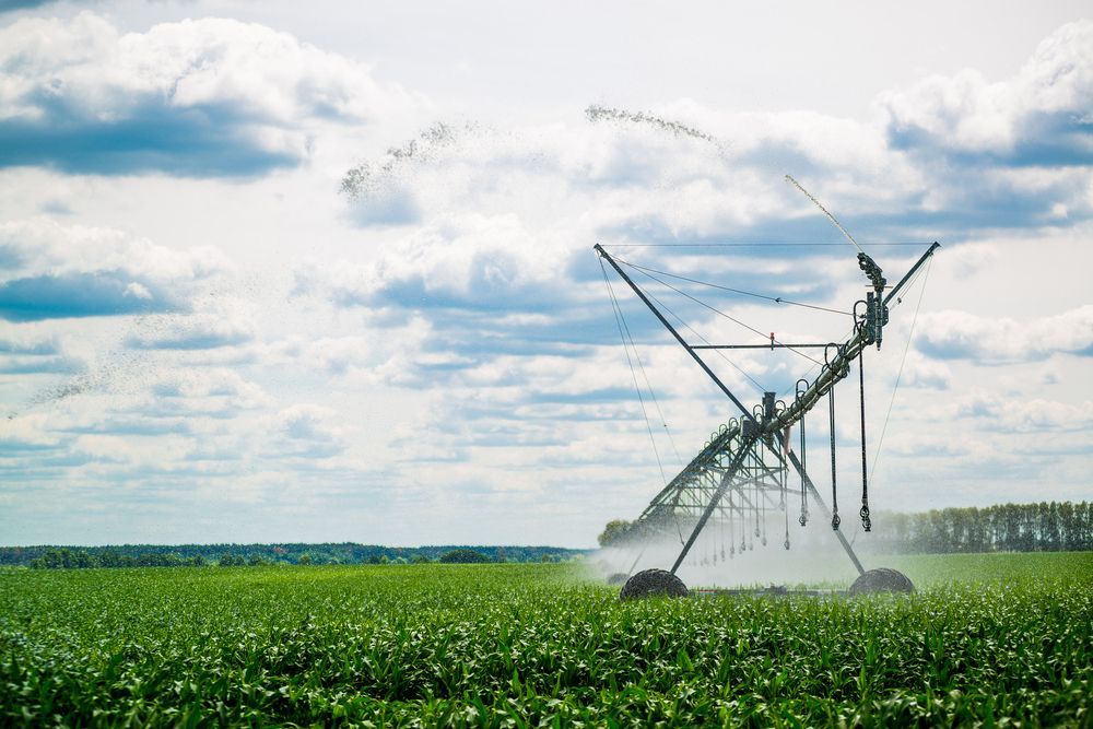 A Sprinkler is Spraying Water on a Green Field — Stockers & Partridge In Pokolbin, NSW