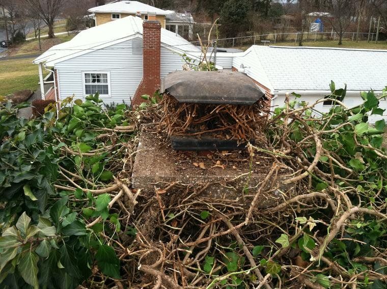 Chimney Needs Cleaning — Mechanicsburg, PA — Your Chimney Sweep