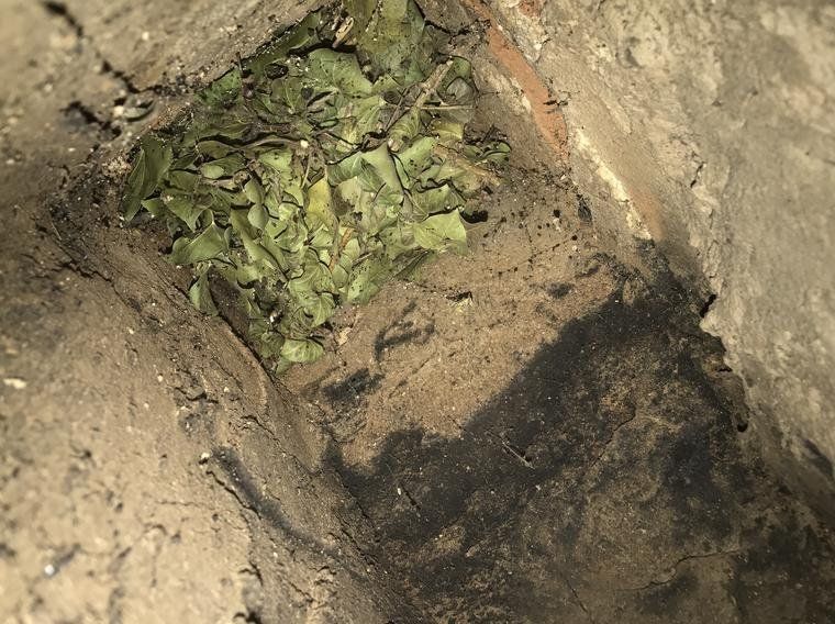 Chimney with Tree Leaves — Mechanicsburg, PA — Your Chimney Sweep