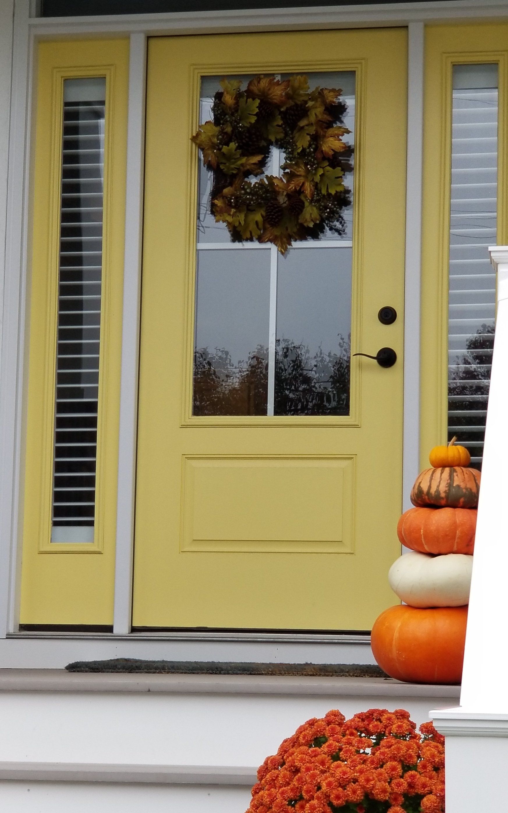 shutters on front door
