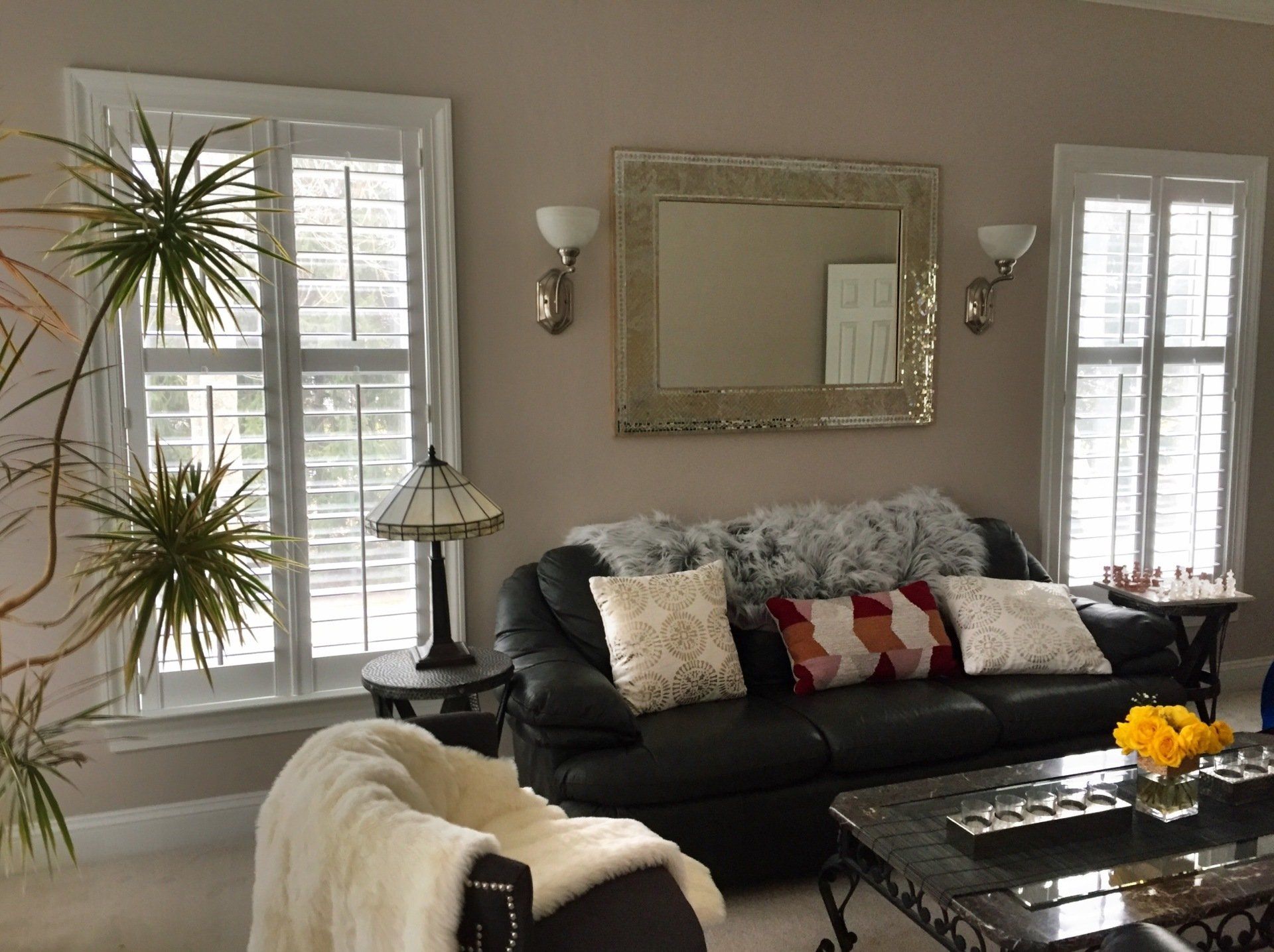 living room window shutter