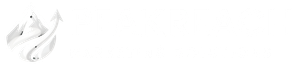 Sparketing1 - Top Website design Company