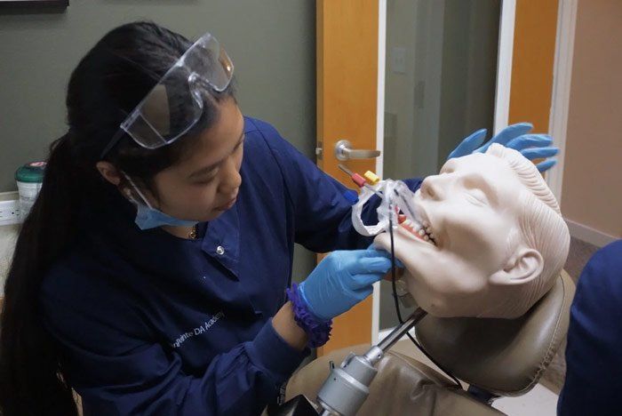 A female dentist is working on a mannequin 's teeth