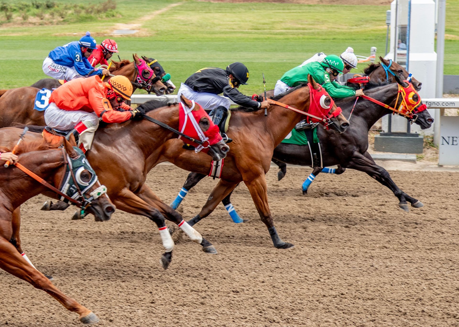 Jockeys in colorful silks race horses around a muddy track, kicking up dirt.