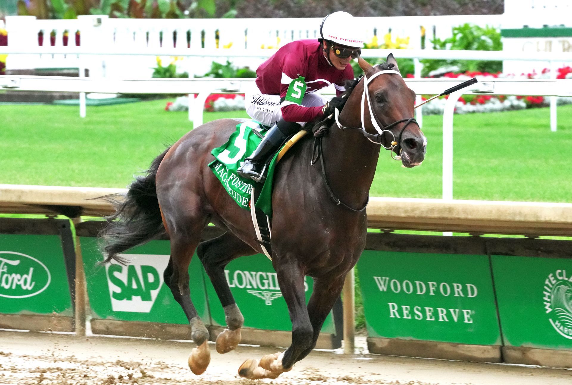 Jockey riding a dark horse in a race near green trackside rails and white fencing