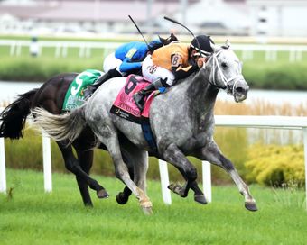 Two jockeys race gray and black horses on a grassy track, neck and neck at the finish.