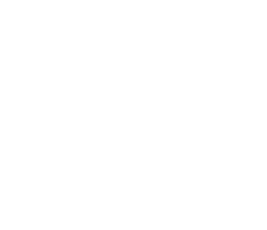 Nut and Bolt icon