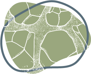 Een tekening van een schildpad met een blauwe cirkel eromheen