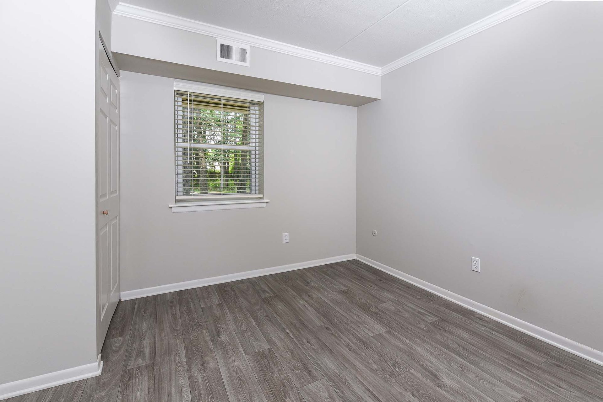 Empty bedroom with gray walls, a window with horizontal blinds, and wood-look flooring.