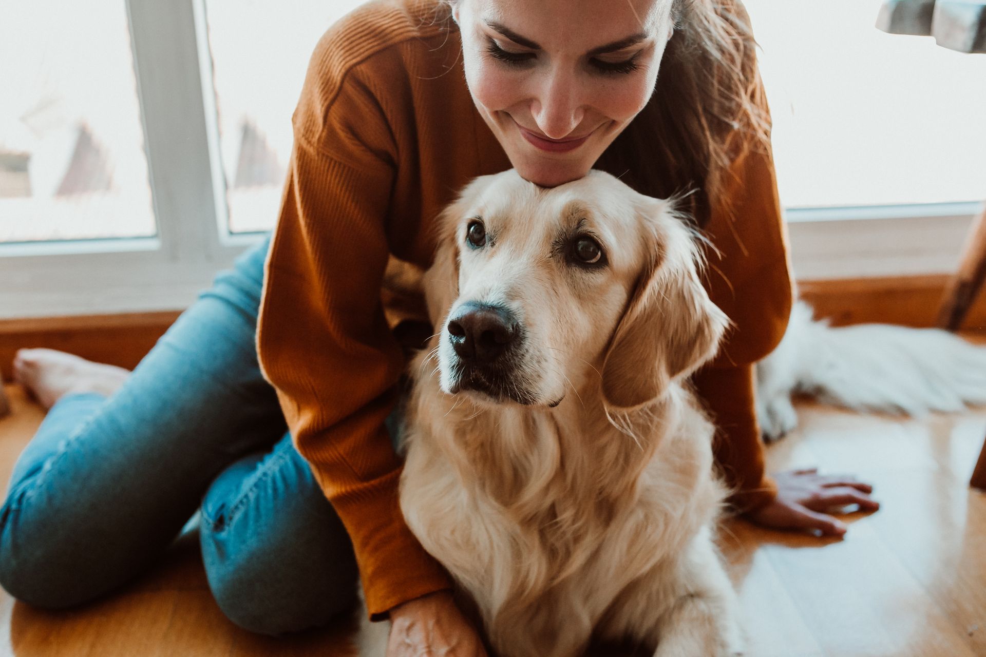 Woman gently touches a golden retriever's head while seated on a wood floor near a window.