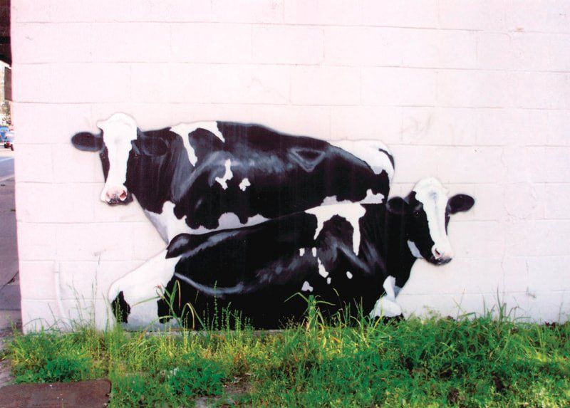 Two black and white cows painted on a white wall