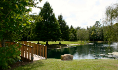 A wooden bridge over a lake in a park