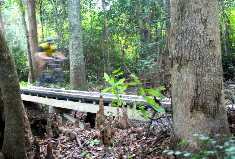 A person is riding a bike on a bridge in the woods.