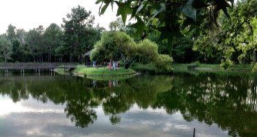 There is a small island in the middle of the lake surrounded by trees.