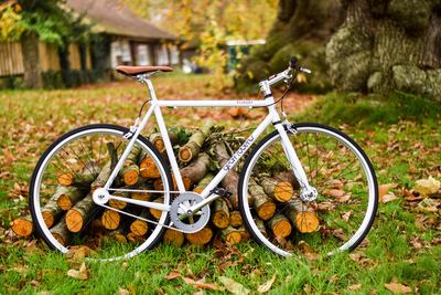 A white bicycle is parked in front of a pile of logs.