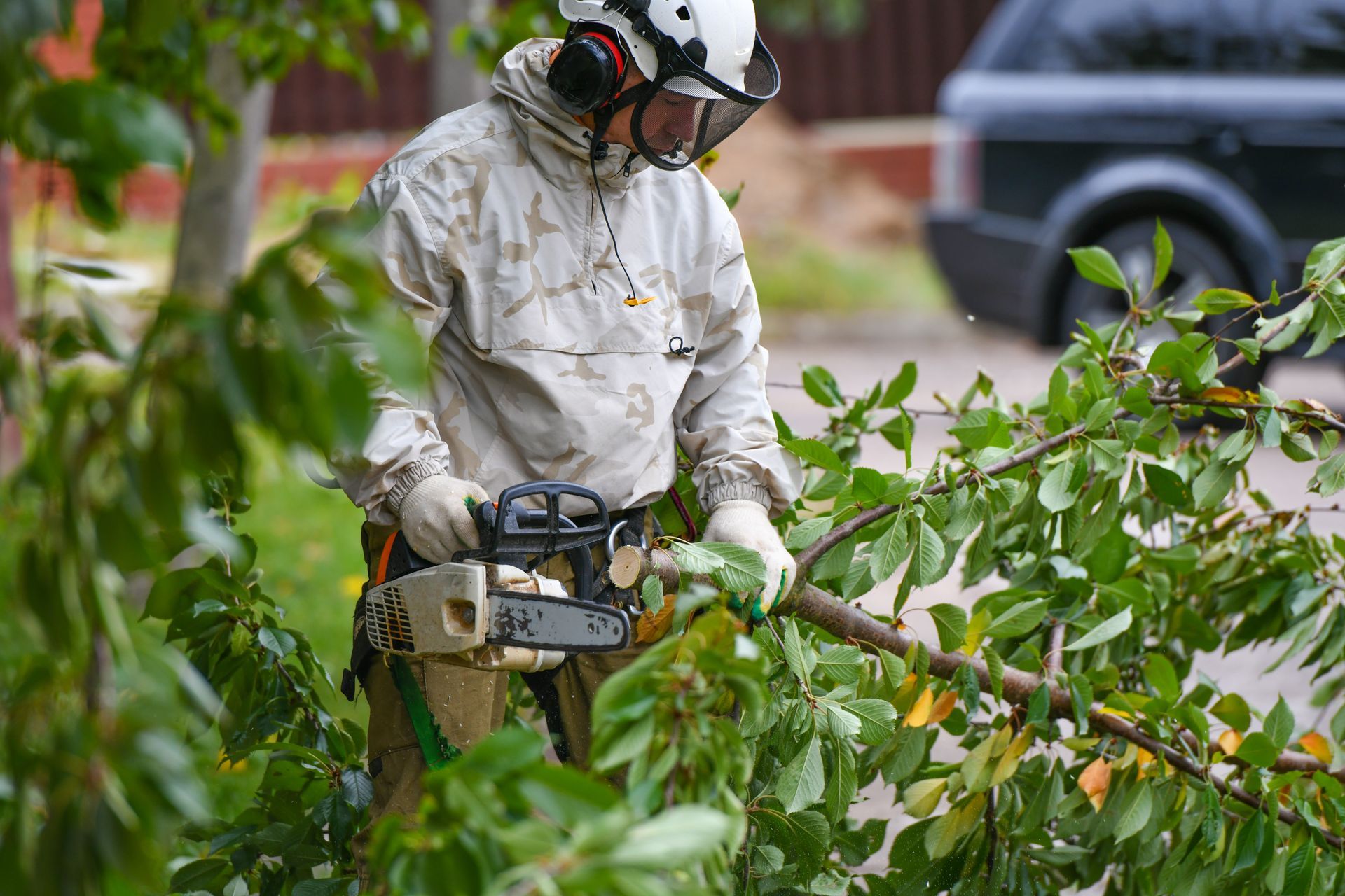 A man is cutting a tree branch with a chainsaw.